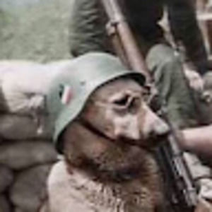 Meet your Posher, Lucas